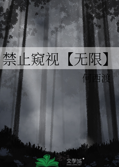 禁止窥视【无限】