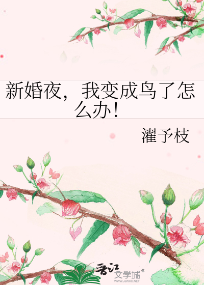 新婚夜，我变成鸟了怎么办！