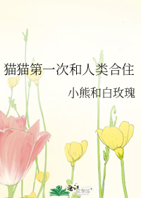 猫猫第一次和人类合住
