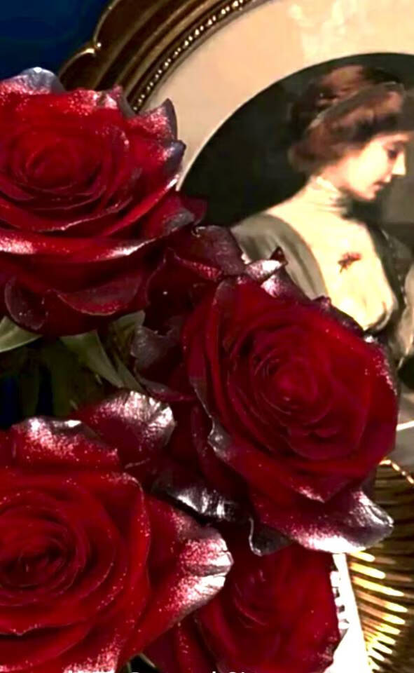 我要稳稳的幸福