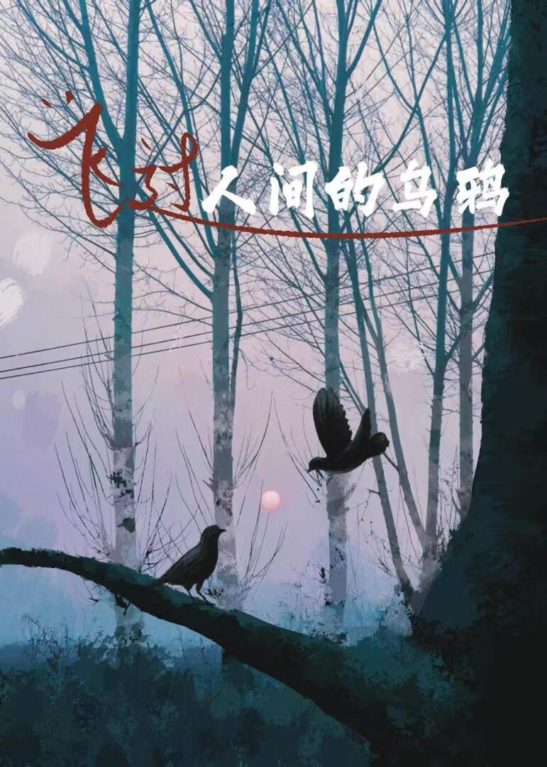 飞过人间的乌鸦