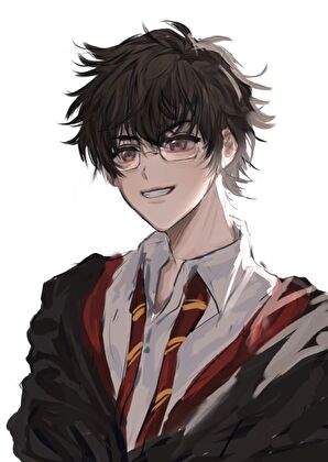 ［HP詹姆斯］独属的解