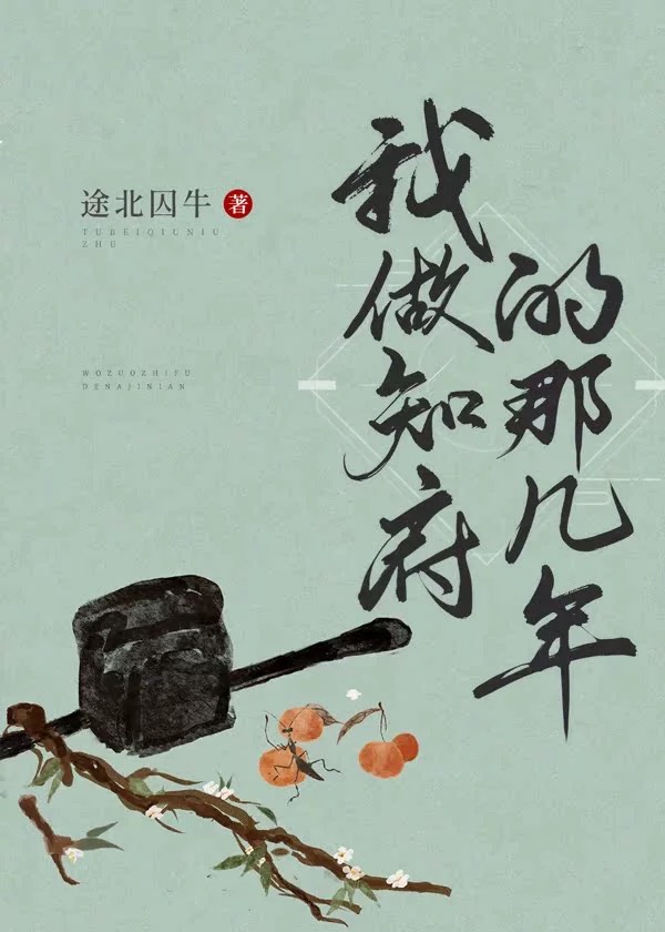 我做知府的那几年