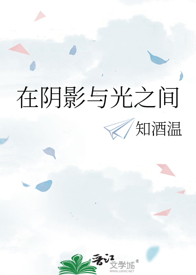 在阴影与光之间