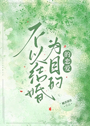 不以结婚目的的恋爱