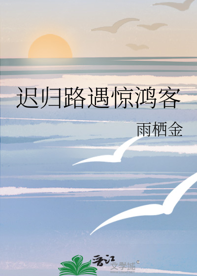 迟归路遇惊鸿客