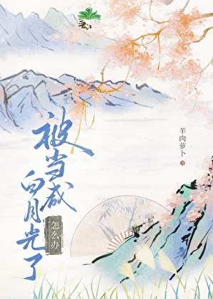 女土匪和俏太傅