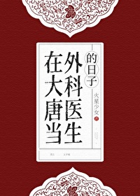 在大唐当官的小说