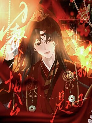 夫郎的赘婿是太子