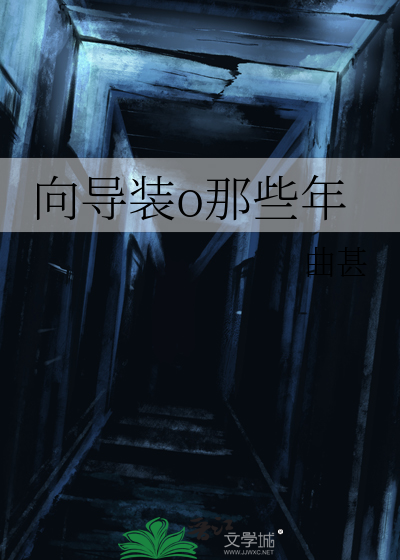 向导装o那些年