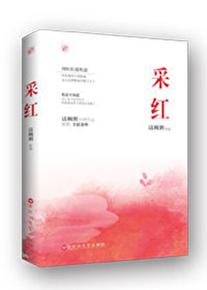 采红小说