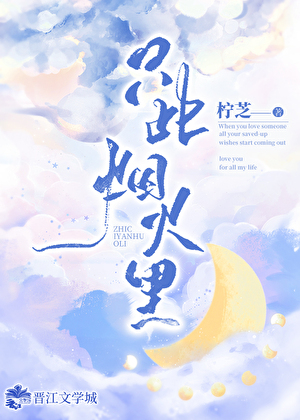 只此烟火里txt