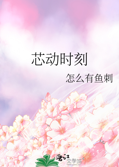 芯动科技是什么