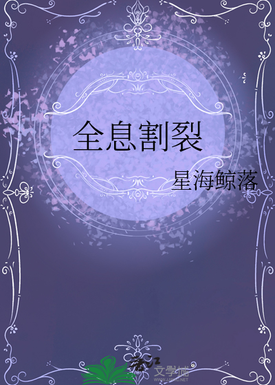 全息碎片简介