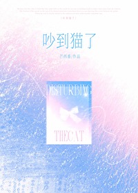 碰到猫叫