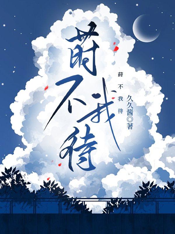 时不我待待的意思