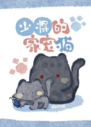 少将的家宠猫
