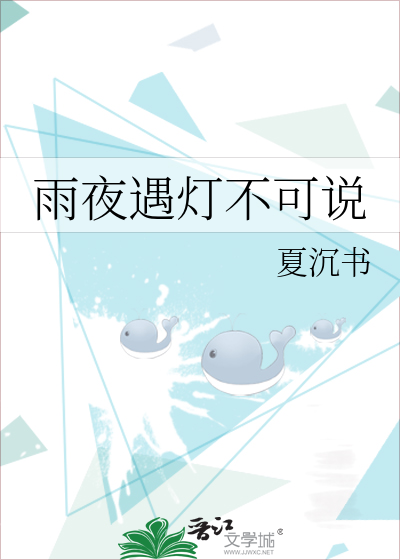 雨夜遇灯不可说