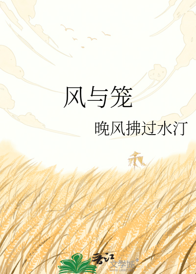风与笼