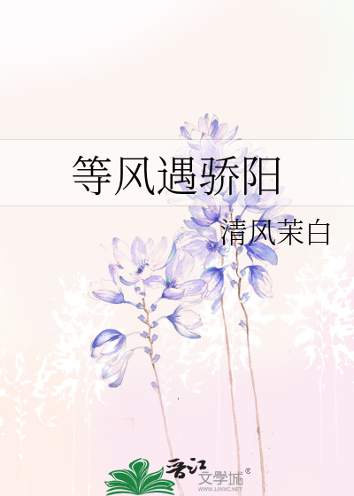 风骄阳小说