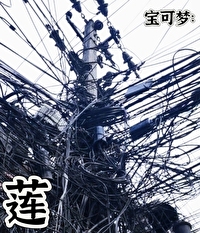 宝可梦莲帽小童
