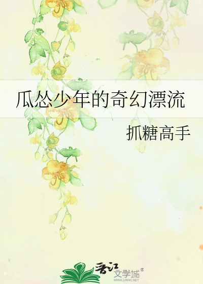 少年他的奇幻漂流歌词