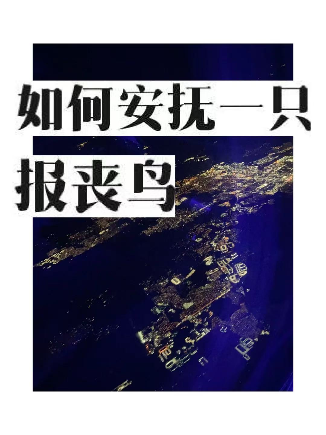 报丧鸟的叫声怎么叫