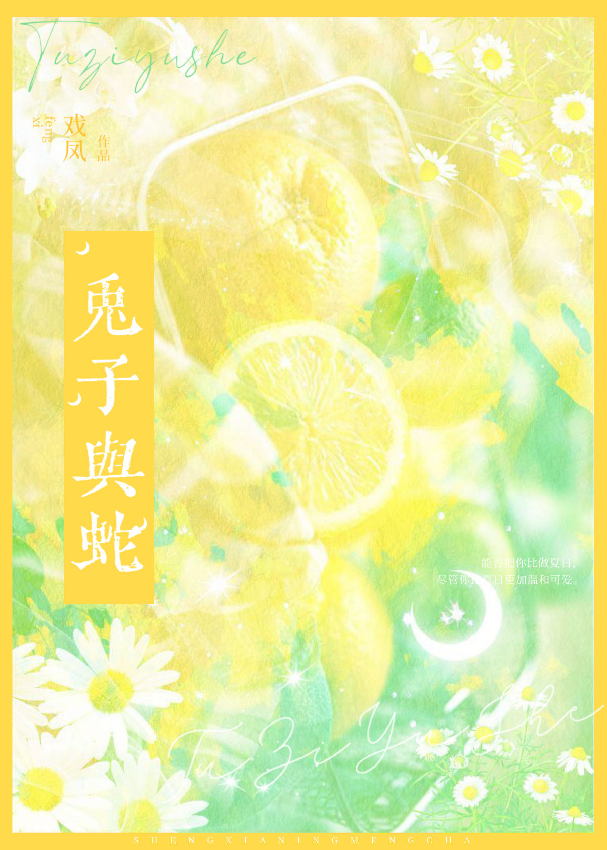 兔子与蛇属相合不合婚姻