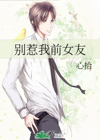 别惹我简介