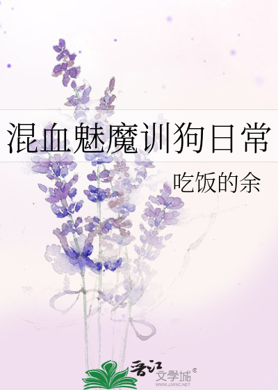 笨蛋导航